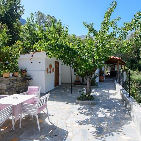 Villa Suzana Mikros Prinos Extérieur photo